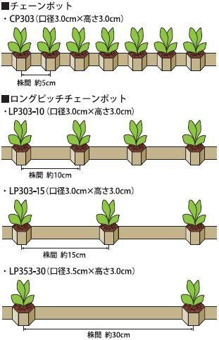 日本甜菜製糖の株間30㎝チェーンポット キャベツ・ブロッコリーに│